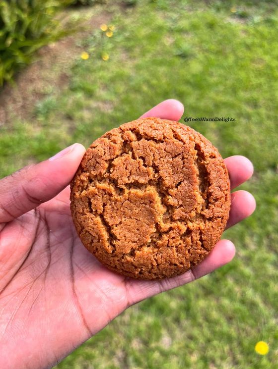 A hand holding a large crackled ginger snap cookie outdoors.