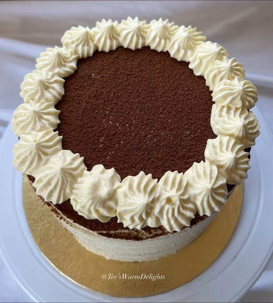 A tiramisu cake piped with cream rosettes and dusted with cocoa.